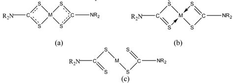 Nature of coordination of dithiocarbamate ligands (a) Bidentate ...