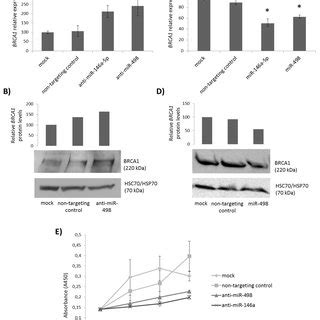 MiR 498 And MiR 187 5p Expression Levels In Breast Tumors And Breast