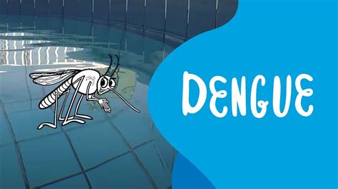 Saiba Como Evitar Os Focos Do Mosquito Da Dengue Hth YouTube