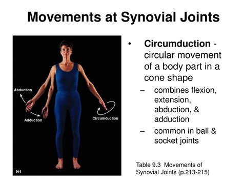 Concept Map Synovial Joint Movements