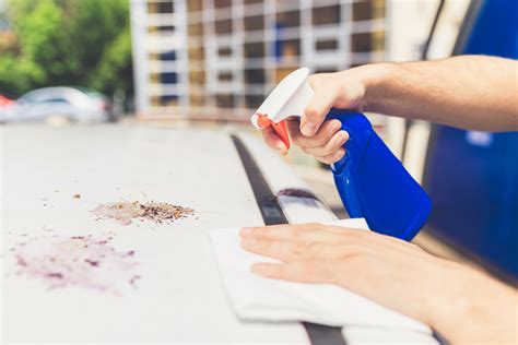 Auto Schriftzug Selbst Leicht Entfernen DIY Ratgeber