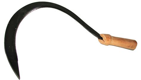 Sichel Test Vergleich +++ Sichel günstig kaufen!