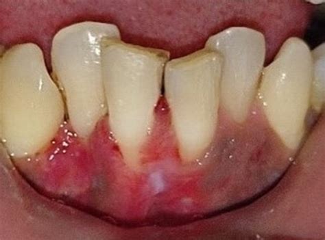 Online Open Access Dental Magazine Journal Publication Dentistry Journal