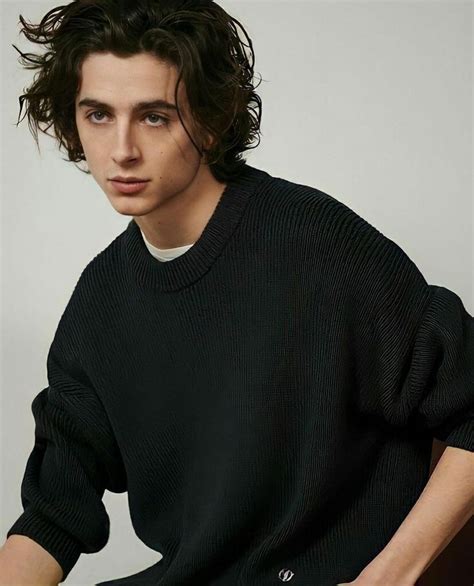 Timothee ️ Actors Timothee Chalamet Long Hair Styles Men