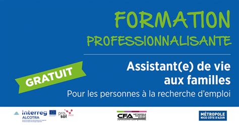 Formation Professionnalisante Assistant E De Vie Aux Familles