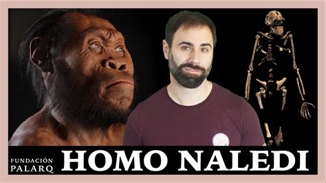 Homo Naledi Las Principales Especies De Homininos Y Etapas De La