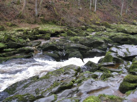 Jim & Gill's Walks: Bolton Abbey & The Strid