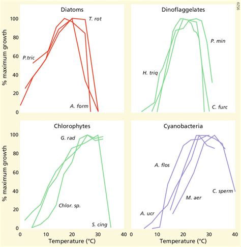 3 Temperature Response Of The Specific Growth Rates Of Three Eukaryotic