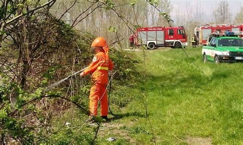 Dalle Colline Torinesi A Pomaretto La Protezione Civile Si Esercita