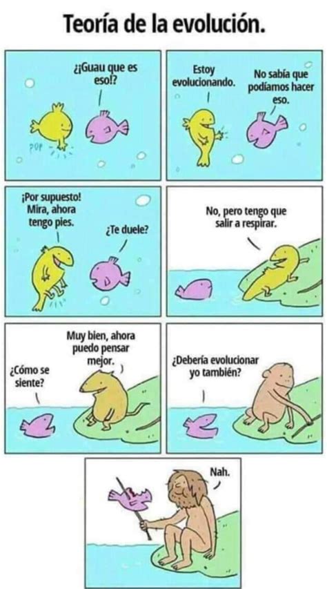 Memes de Evolución en español Pintzap