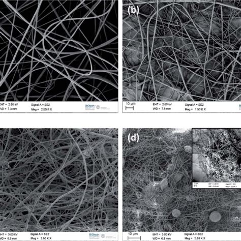 Fesem Micrographs Of Electrospun Mats Of A Neat Pvdf B Pvdf Ppy