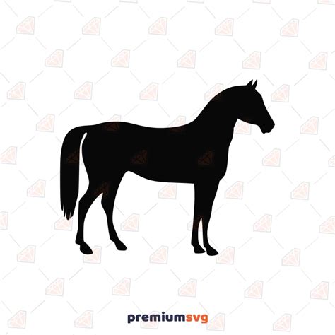 Standing Horse SVG, Horse Silhouette | PremiumSVG