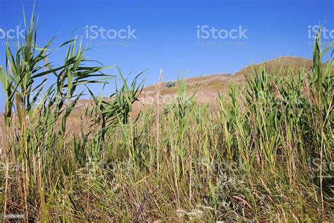 Red Hills And Blue Sky Stock Photo Download Image Now Agriculture