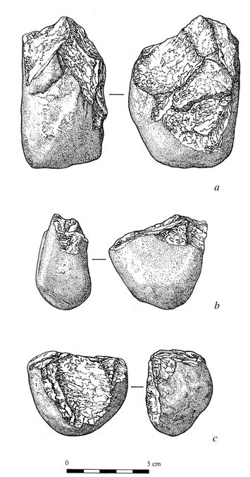 Anthropology: Nelson, Gilbert, Wong, Miller, Price (2012)