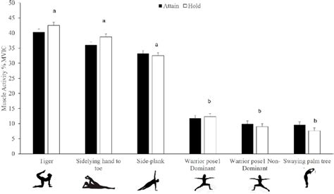 Relative activation of Gluteus Medius across phases and poses. Note:... | Download Scientific ...