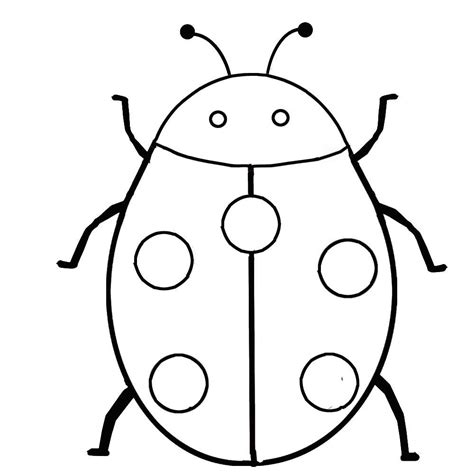 Bug Template For Kids