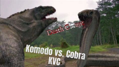 Komodo Vs Cobra Kill Count Youtube