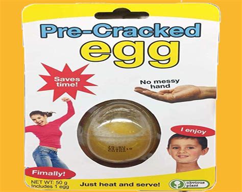 fix - Pre Cracked egg the game by April_irl