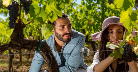 Montepulciano Degustacja wina z typowymi toskańskimi wędlinami