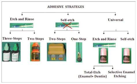 Adhesion And Bonding Systems