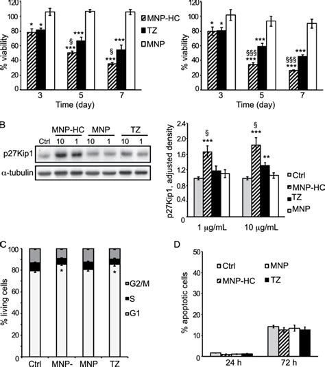 Antitumor Activity In Her2 Cells A Viability Of Skbr3 Treated For