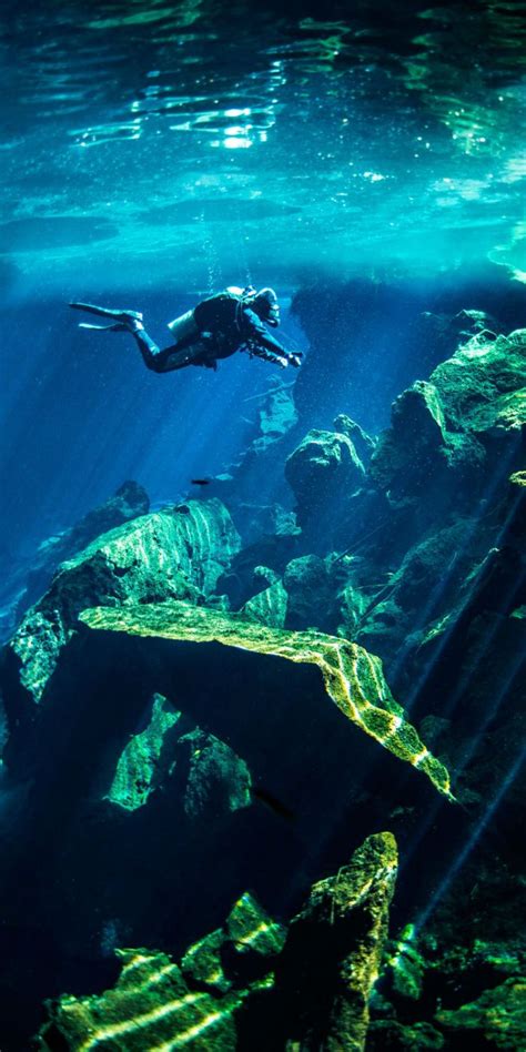 Cenotes Diving In The Yucatan Peninsula Mexico Cenotes Are Inland