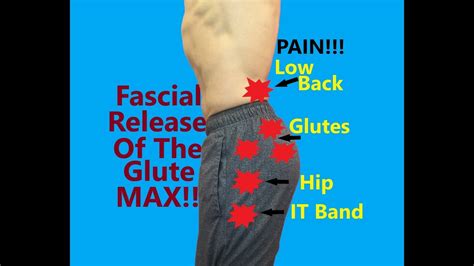 Gluteus Maximus Pain And Fascial Release Youtube