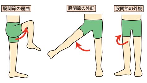 【股関節が硬くてあぐらできない？】ストンと脚が開く魔法のストレッチ ヨガジャーナルオンライン