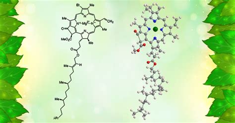 Chlorophyll Structure