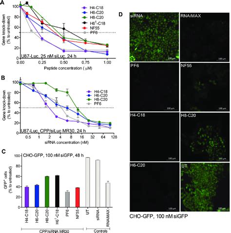 Cpp Sirna Transfection Efficacy And Percentage Of Transfected Cells