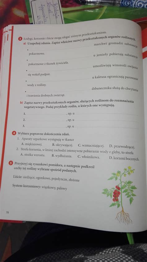 Sprawdzian Biologia Klasa 5 Dział 4