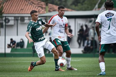 Palmeiras Vai Encarar Rival Da Capital Nas Quartas De Final Do Paulista