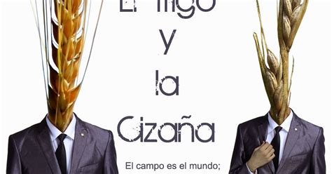 Caracteristicas Del Trigo Y La Cizana