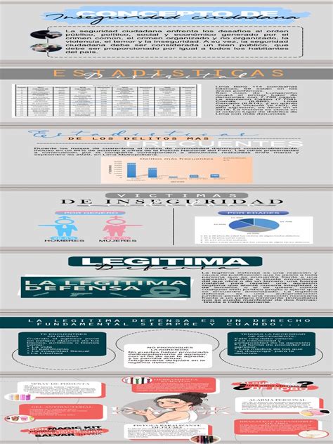 Infografía Inseguridad Ciudadana Pdf