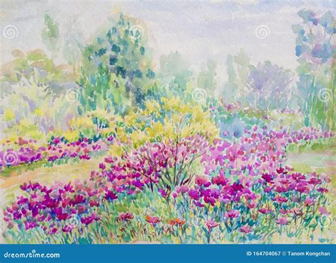 Painting Watercolor Landscape Colorful of Daisy Flowers in Garden Stock Illustration ...