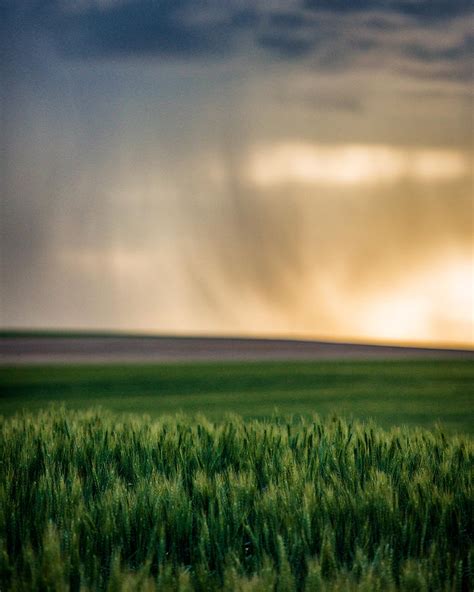 Prairie Rainstorm Photograph by Matt Hammerstein - Fine Art America