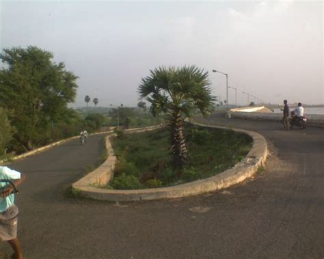 Chembarambakkam Lake | Famous Lake in Tamilnadu | Places to visit ...