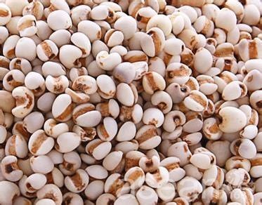 Semen Coicis Seed Jobs Tears Whole Dehulled And Powder China