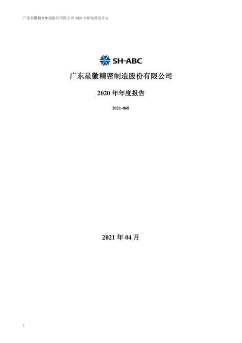 星徽股份：2020年年度报告（更新后）