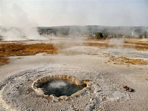 Steam Thermal Pond Yellowstone National Park Stock Image Image Of