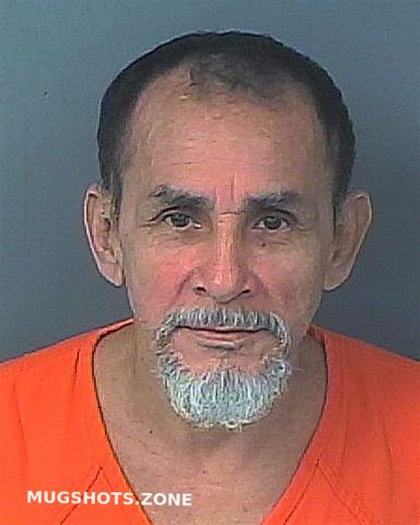 GONZALEZ SOTO SAUL OMAR 05 24 2024 Hernando County Mugshots Zone