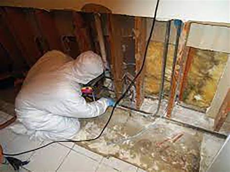 4 Bedroom Villa Mold Removal Dubai Biosweep AC Duct Cleaning Mold