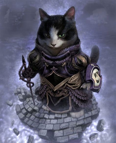 Cat In Knight Armor Struck Gold Newsletter Photographs