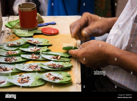 Betel Nut Quid Hi Res Stock Photography And Images Alamy