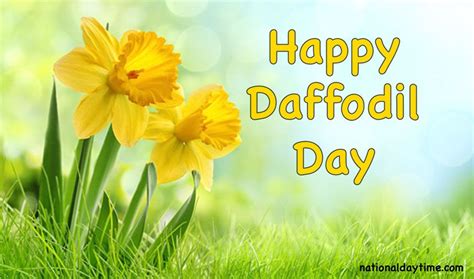 Happy Daffodil Day Image Picture Wishes Quotes Captions