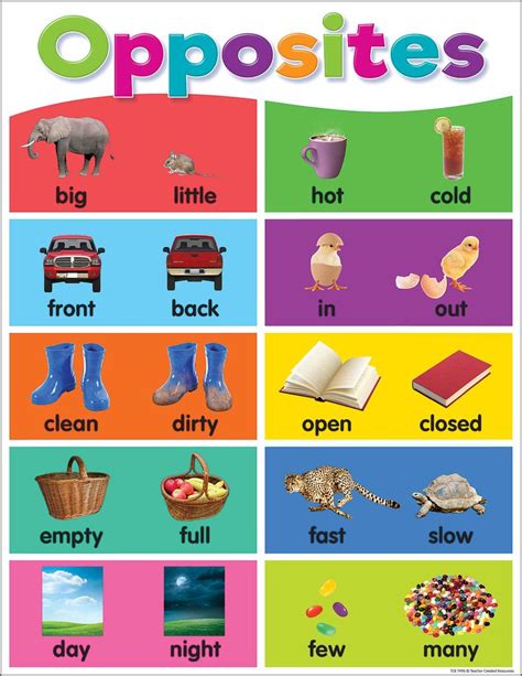 Colorful Opposites Chart Teacher Created Resources English Lessons