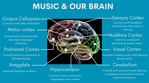 Thunai What Is Music Therapy