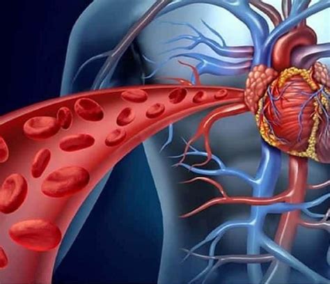 10 Warning Signs Of Poor Blood Circulation In Your System