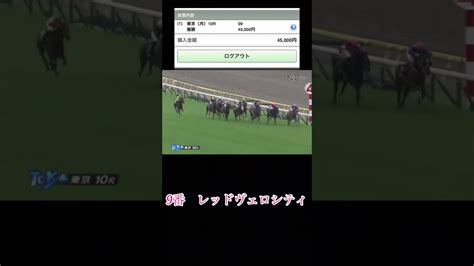 【複勝転がし】素人でも固いレースなら複勝転がせる⁈ 競馬動画まとめ