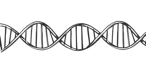 Dna Molecule Structure Horizontal Background Genetic And Chemistry